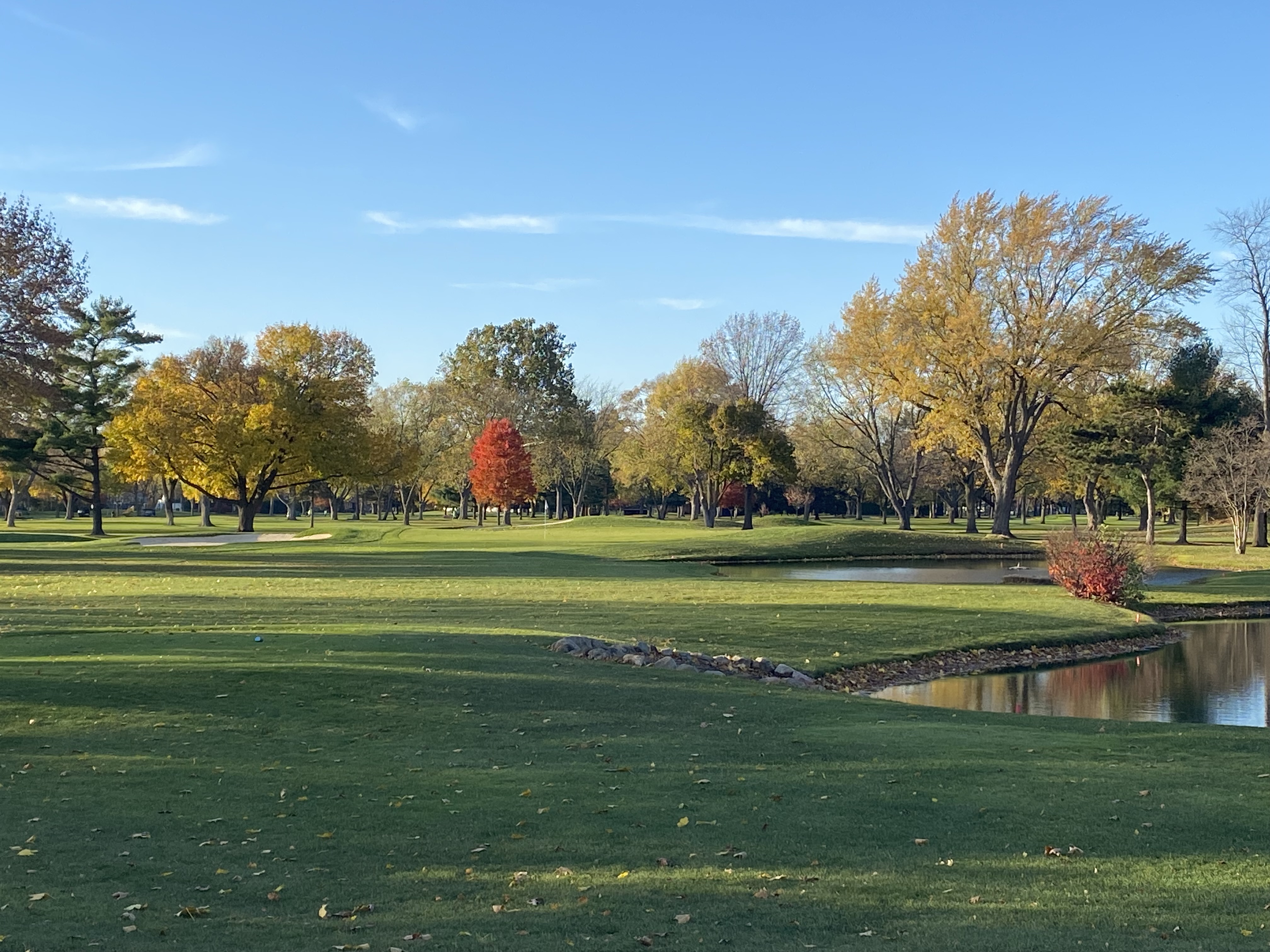 Autumn Golf